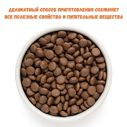 GRANDORF DOG Lamb&Turkey JUNIOR (ягнёнок с индейкой для юниоров)  1 кг.